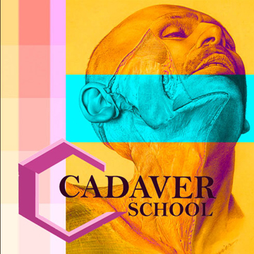 BioConcept Cadaver School объявляет набор слушателей